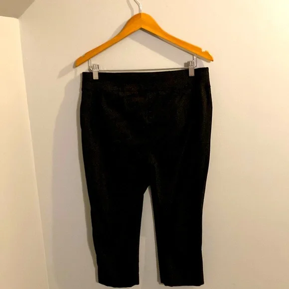 Chico’s - Perfect Stretch Capri - Picture 3 of 5